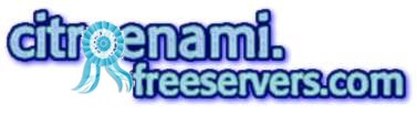 Citro�n Ami